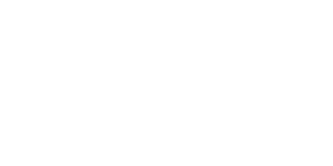 Top 25 logo white
