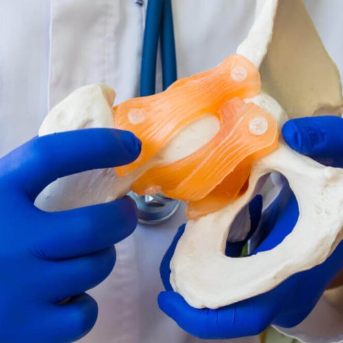 Doctor in white coat and gloves holding anatomical model of human pelvis