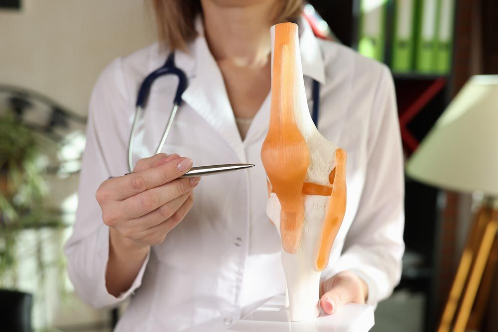 Woman doctor holds anatomical model of human knee-joint and points by pen