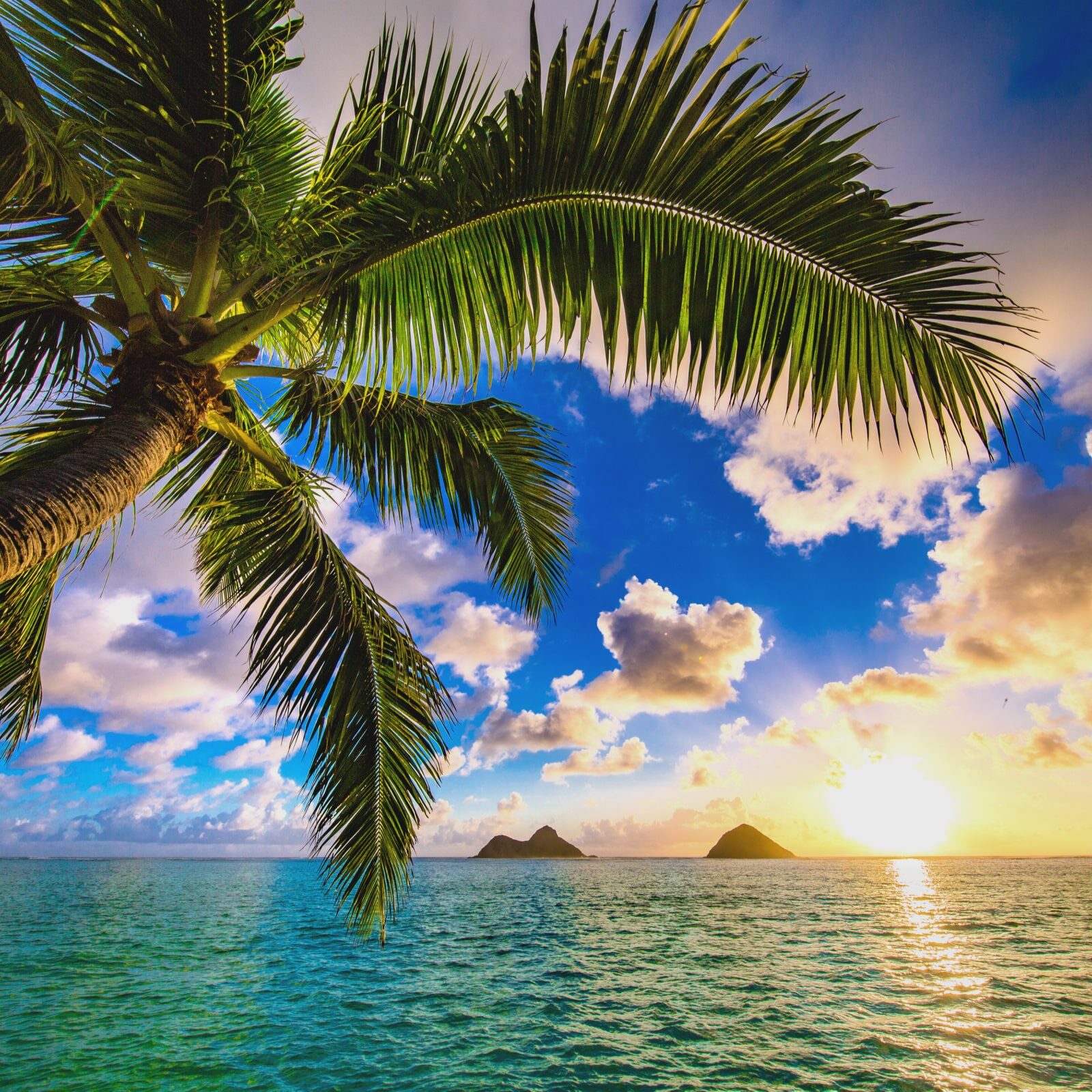 Beautiful Lanikai, Kailua Sunrise