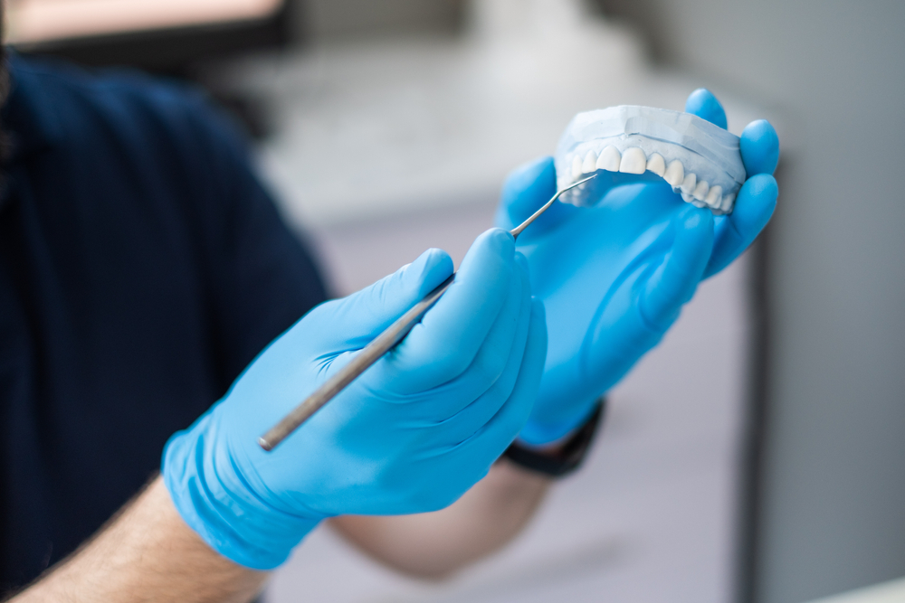 The Dentist Holds A Plaster Cast Of The Jaw