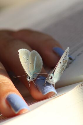 Small butterflies laid on girl’s hand