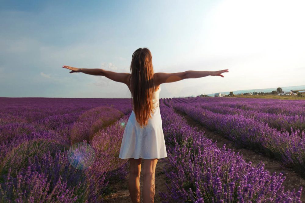 young girl from the back standing in a lavender field