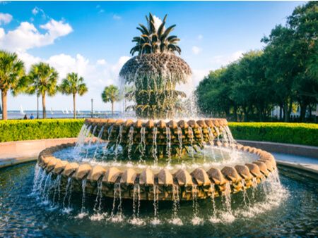 Bright scenic day with palmetto palm trees in Charleston, South Carolina
