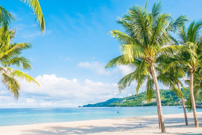 Coconut palm tree with Beautiful Tropical beach and sea