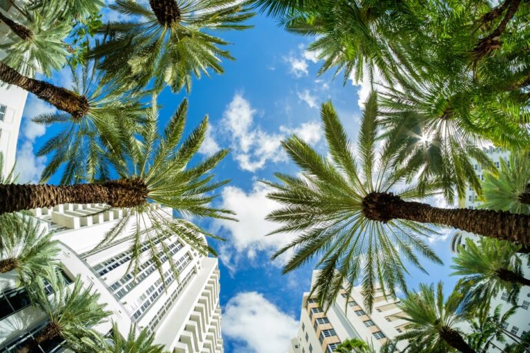 Beautiful Miami Beach fish eye cityscape