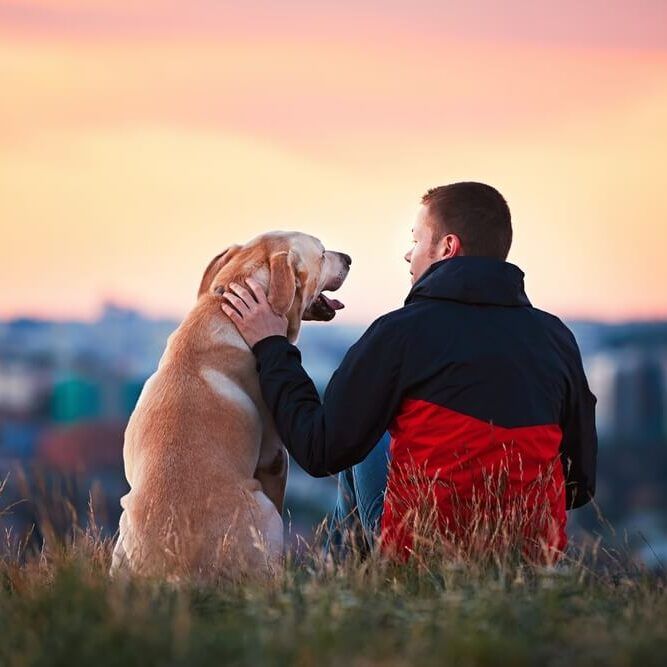 Young man sitting on the hill with his dog.