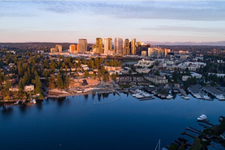 Aerial Landscape View of Bellevue Washington