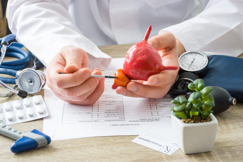 At doctors appointment physician shows to patient shape of prostate gland with focus on hand with organ.
