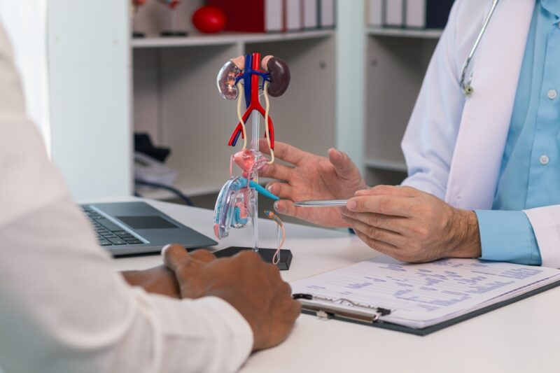 Doctors are counseling prostate cancer patients and using model of the penis to provide an example for prostate cancer patients about future symptoms and treatments.