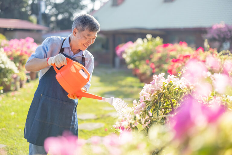 Authentic shot of asian retired senior man watering plants in the garden