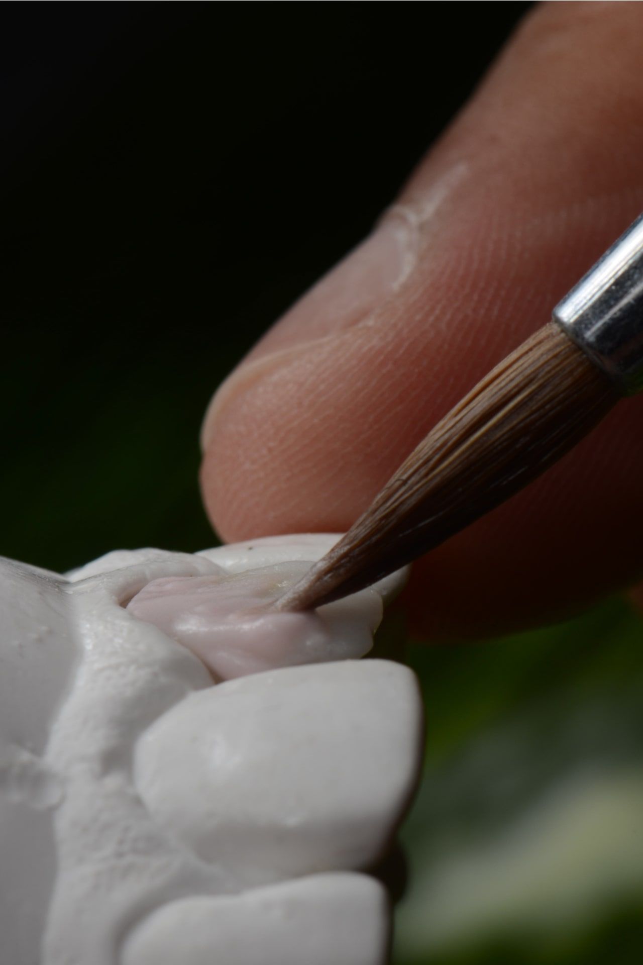 PanAm Dental Laboratory Savannah, GA and Houston, TX