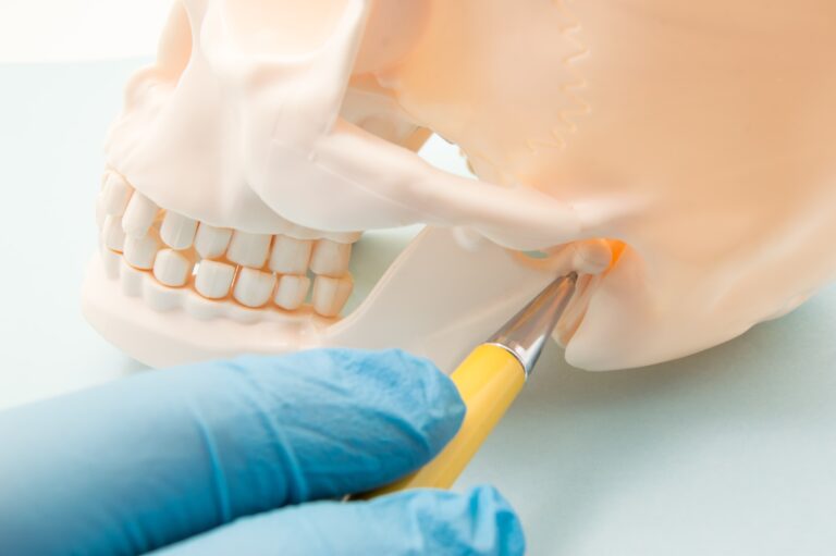 doctor pointing to temporomandibular joint on skull