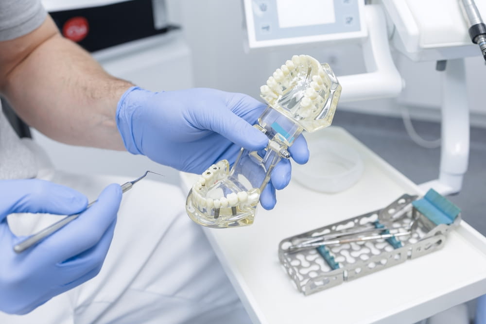 Gloved dentist holds implant jaw model and explains tooth replacement options during treatment planning