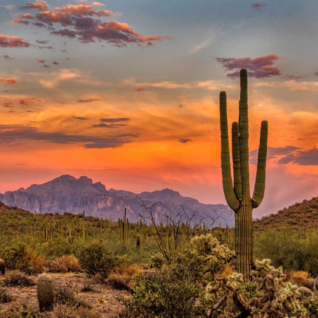 Sunset in the Sonoran Desert near Phoenix, Arizona